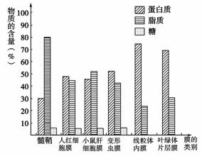 pp棉滤芯怎么样