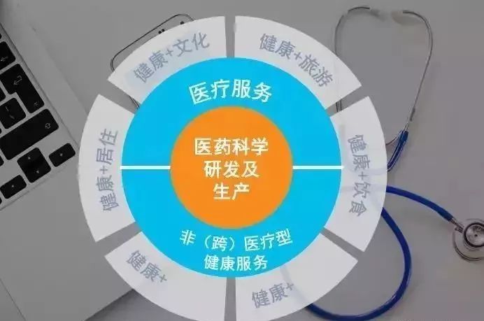 维生素模型,维生素模型与数据设计驱动执行，探索未来科技与健康领域的新篇章,科学研究解析说明_RemixOS58.77.33