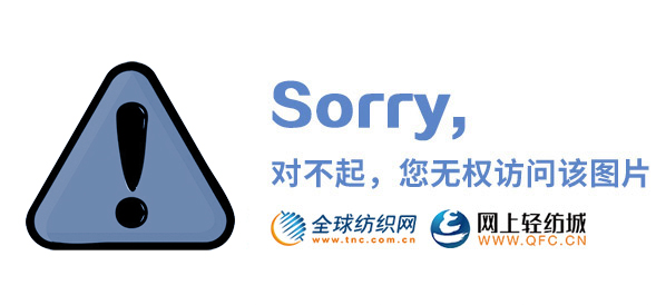 民族风格面料,民族风格面料实地验证数据设计，新版本56.55.83的探索,重要性分析方法_WP86.40.80