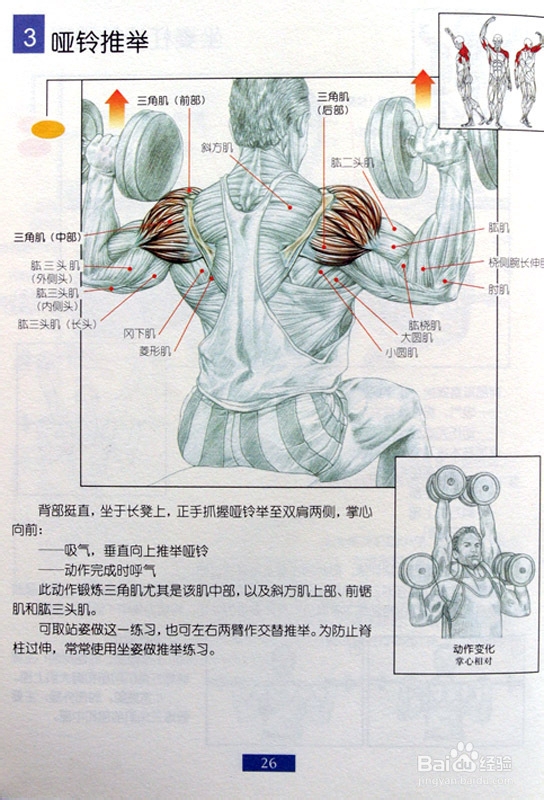 健身哑铃重量怎么选