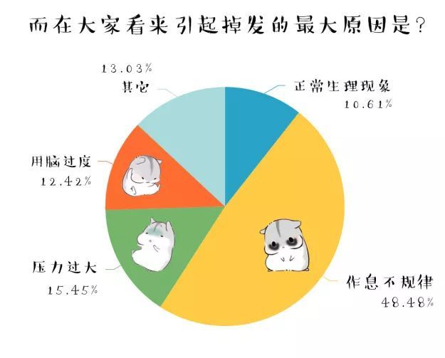 广东将迎新冷空气